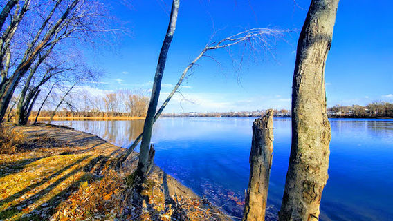 Пинчон Пойнт