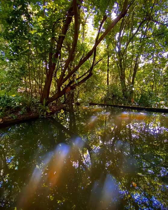 Flüge ${{cityDName}} Phalaborwa