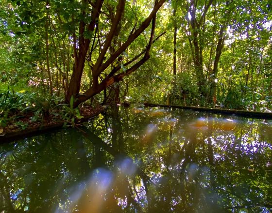 內爾斯普雷特 自由行套票