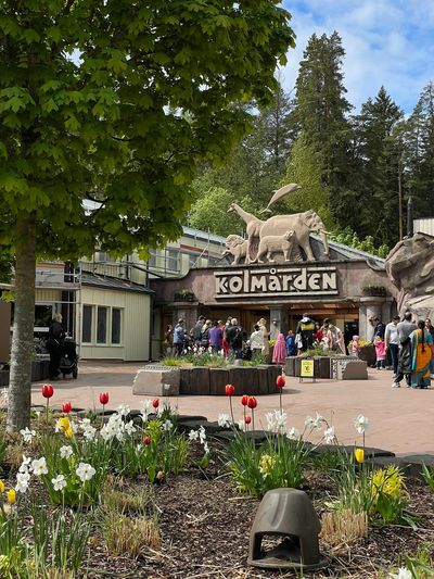 Kolmarden Wildlife Park