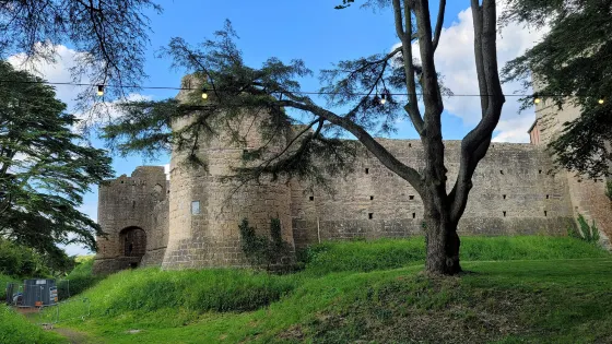Caldicot Castle