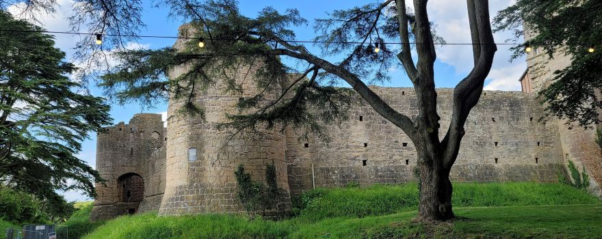 Caldicot Castle