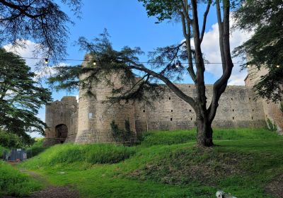 Caldicot Castle