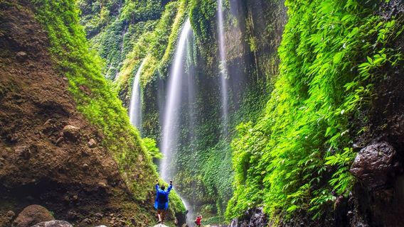 Madakaripura Waterfall