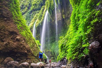 Madakaripura Wasserfall