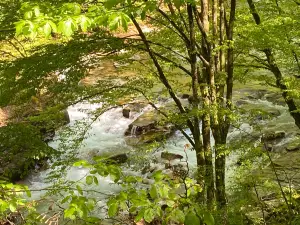 Apuseni Natural Park