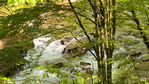 Apuseni Natural Park