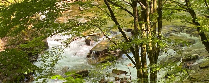 Parc naturel Apuseni