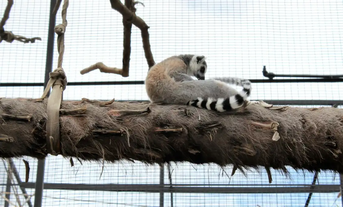 Hotels near Lory Park Zoo