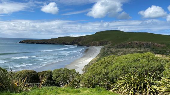 The OPERA - Otago Peninsula Eco Restoration Alliance