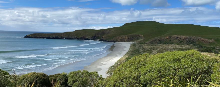The OPERA - Otago Peninsula Eco Restoration Alliance