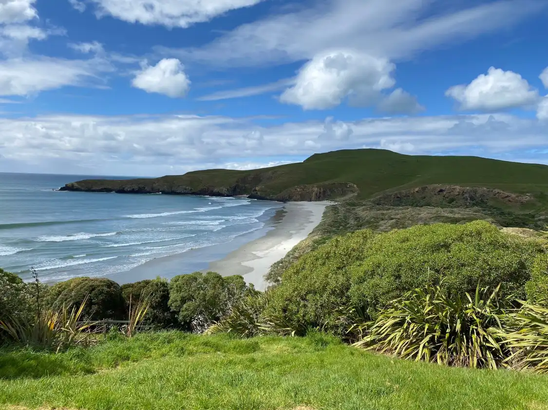 Hotels near The OPERA - Otago Peninsula Eco Restoration Alliance