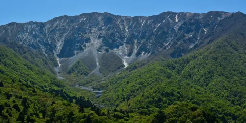 豪円山