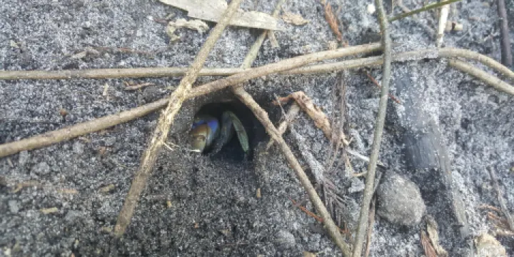 Secret Woods Nature Center