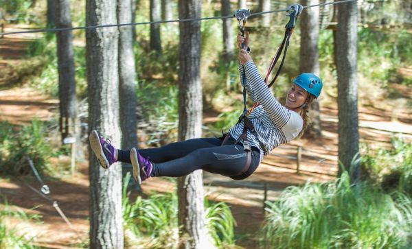 Tree Adventures