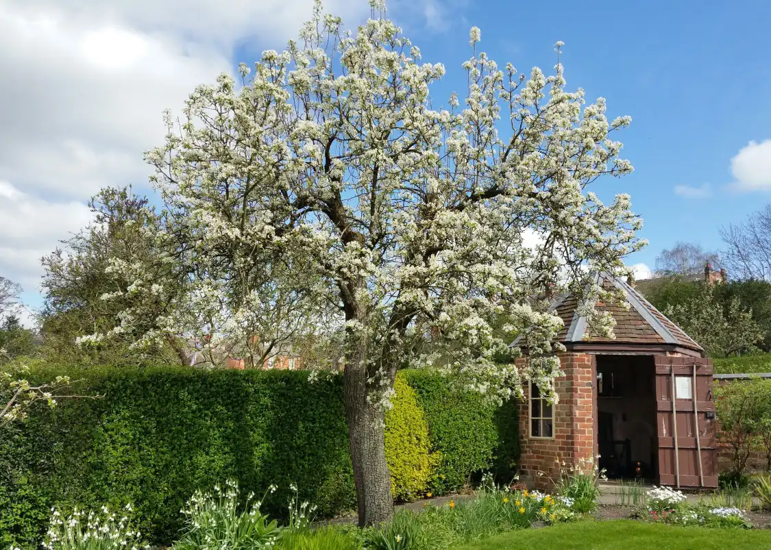 Hotels near Hill Close Gardens Trust Warwick