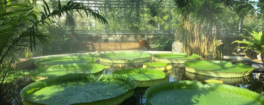 Botanical Garden