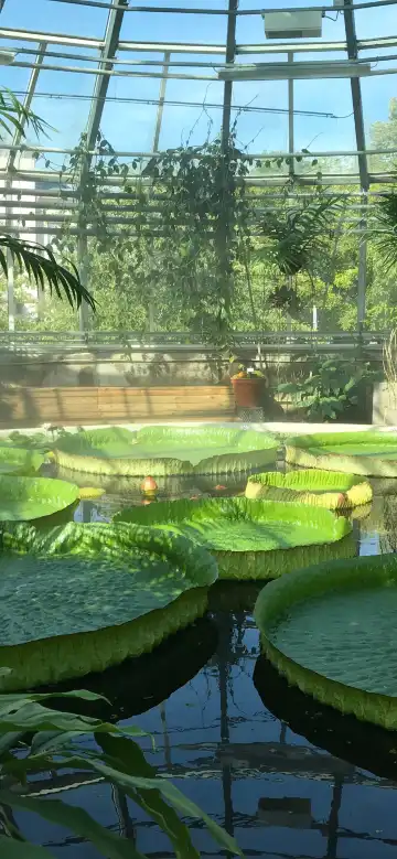 Hotels near Botanical Garden