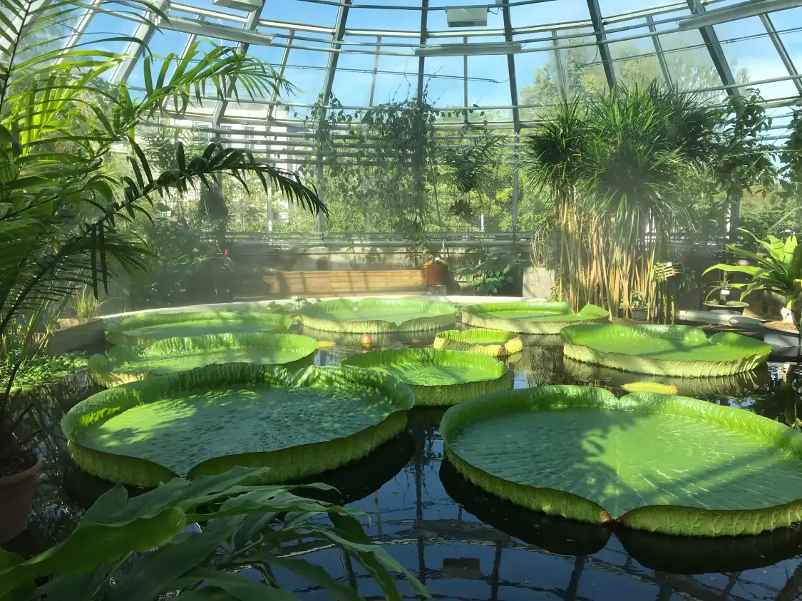 Hotels near Botanical Garden