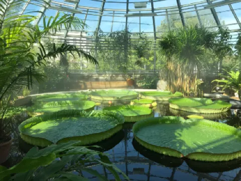 Botanical Garden