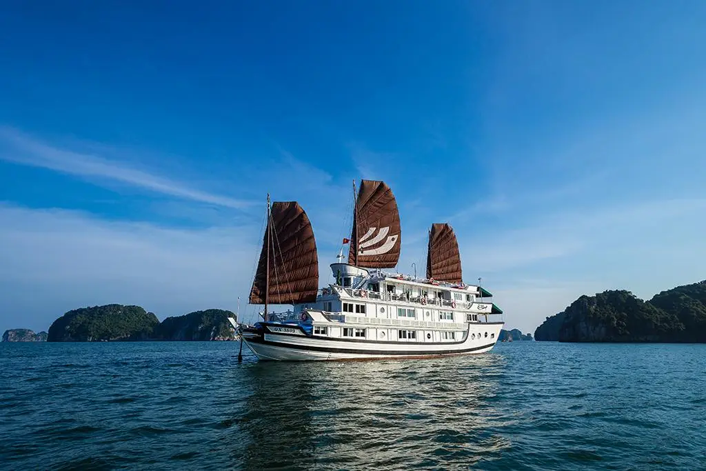 Bhaya Cruise Center