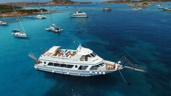 Navetta Sea Star