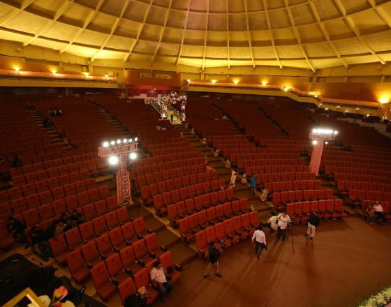 芒伽羅 自由行套票