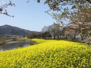 Uwasekigata Park