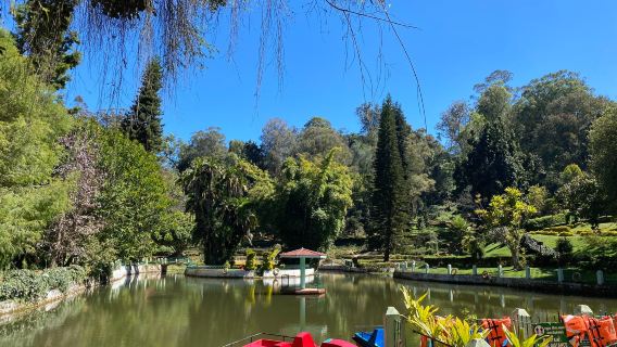 Sim's Park