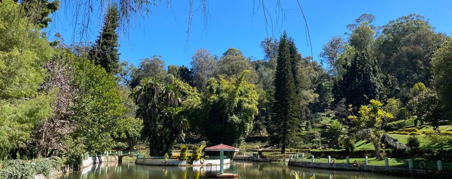 Sim`s Park
