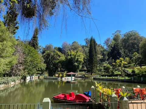 Sim`s Park