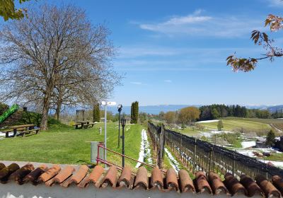 Wittenbach