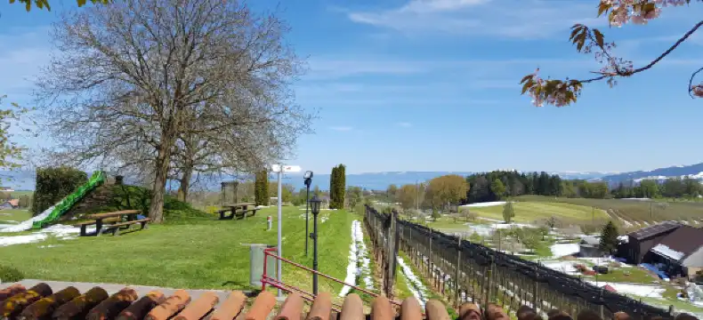 Hotels in Wittenbach