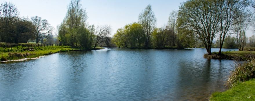 Lower Bruckland Farm Nature Reserve