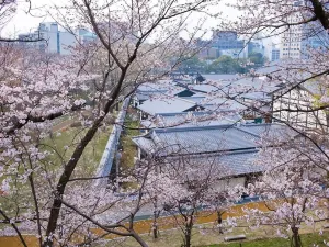 사쿠라노바바 조사이엔
