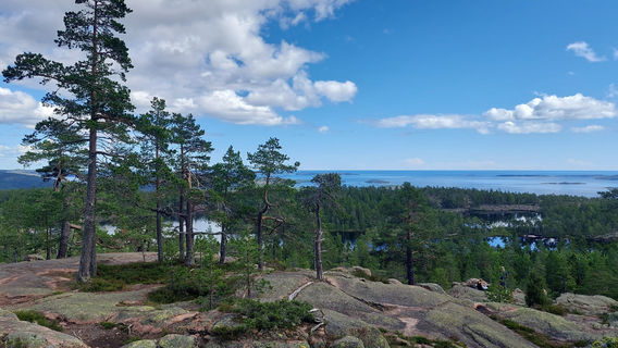 Skuleskogen National Park