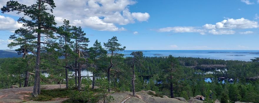 Nationalpark Skuleskogen