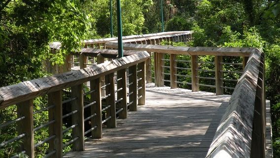 Maitland Community Park