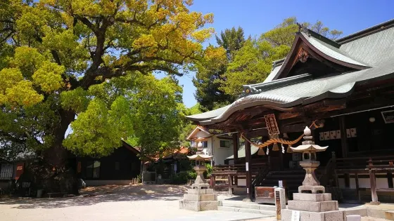 糸碕神社