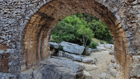 Donkey Trekking Kefalonia