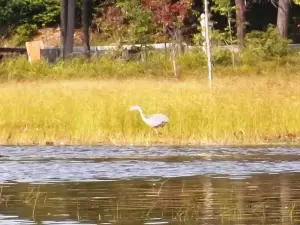 Caroga Lake Marina & General Store