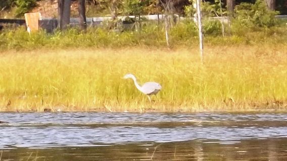 Caroga Lake Marina & General Store