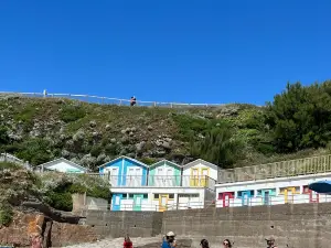 Summerleaze Beach
