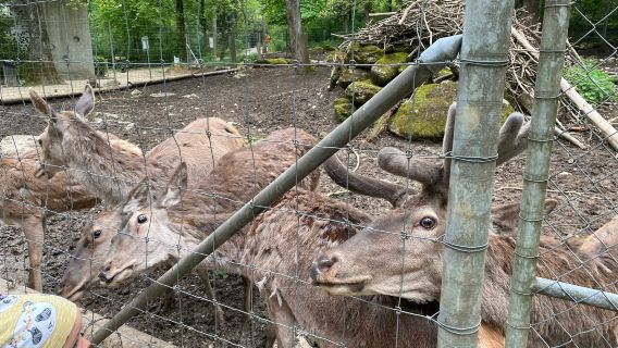 Biel Zoo