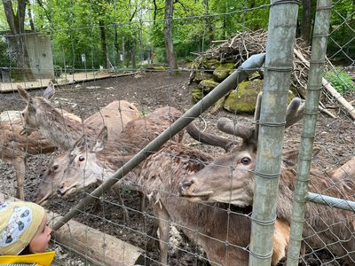 Biel Zoo