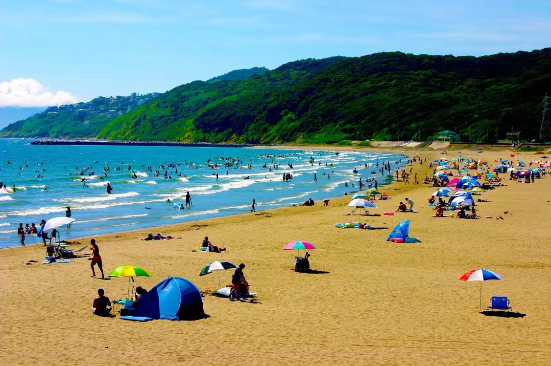 Hotels near Isonoura Beach Resort
