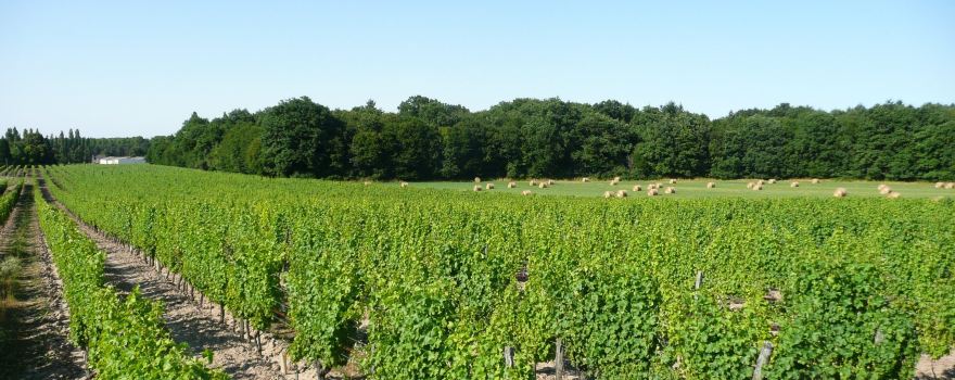 Domaine des Huards