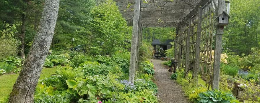 Fernwood Nursery & Gardens