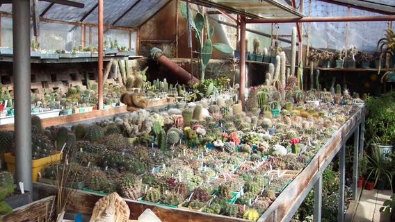 Botanical Garden Serafimovi