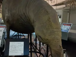 Takikawa Museum of Art and Natural History